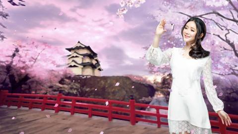 各色各样的美女图片