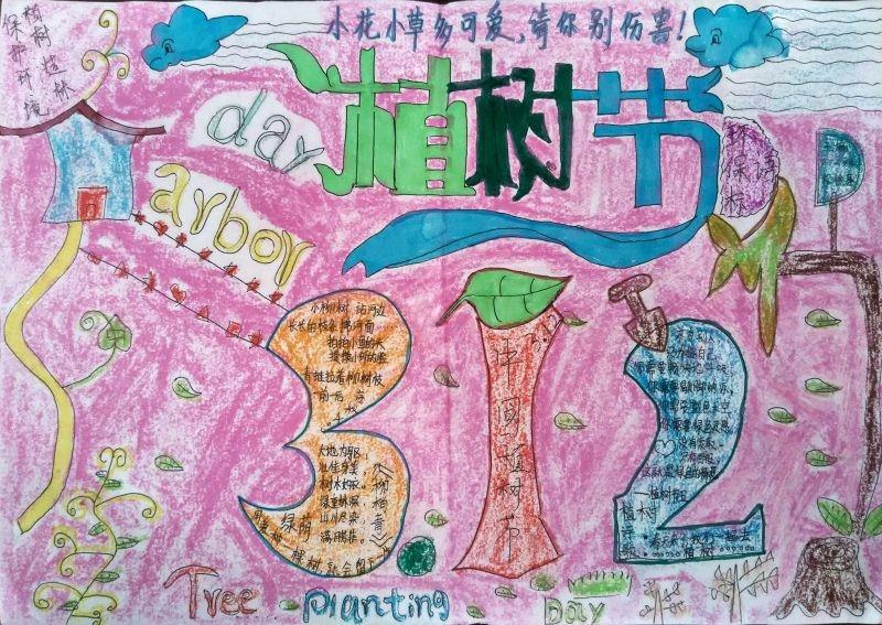 3.12植树节手抄报图片简单又漂亮 12张植树节手抄报