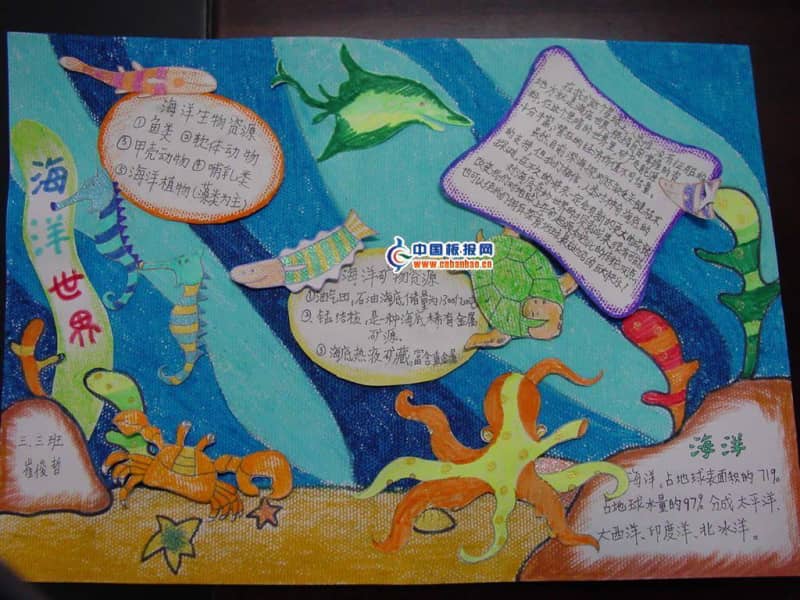海底世界手抄报图片 9张科学科技手抄报