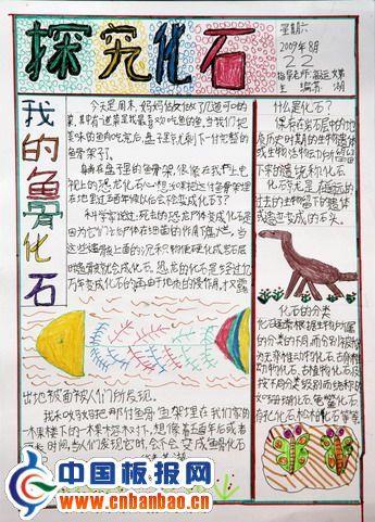探究化石手抄报版面设计图 9张科学科技手抄报