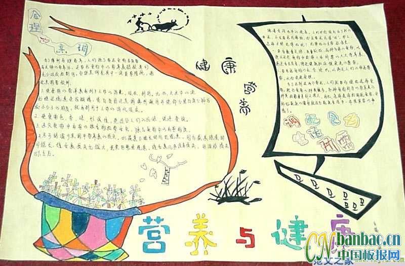 营养与健康手抄报版面设计图 15张健康手抄报