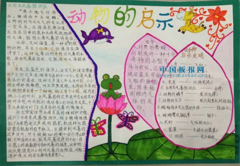 动物的启示手抄报图片 11张科学科技手抄报