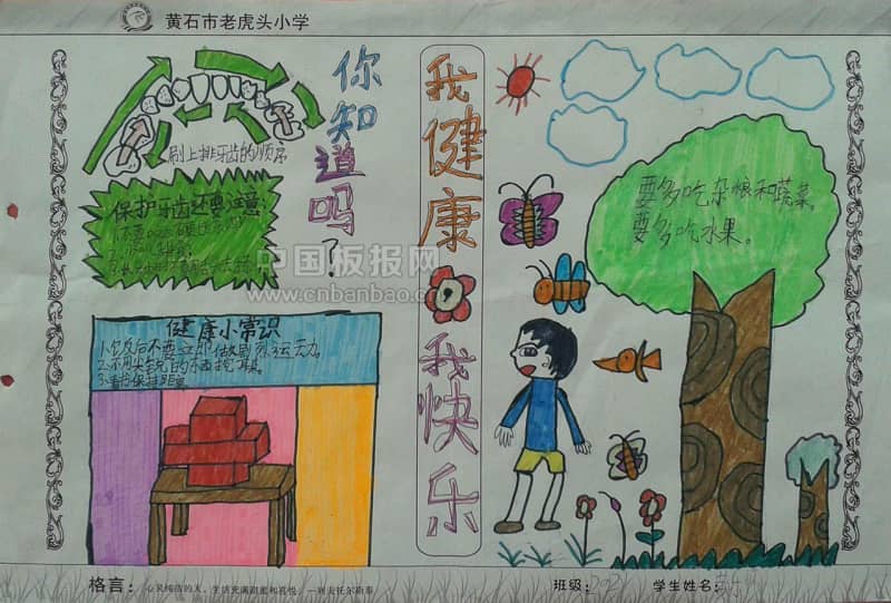我健康我快乐手抄报大全 13张健康手抄报