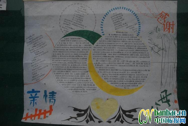 感谢父母亲情手抄报版面设计图 16张小学生手抄报
