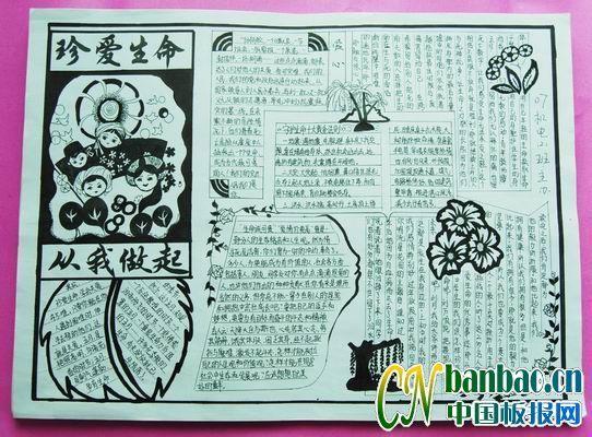 珍爱生命从我做起手抄报欣赏 16张安全手抄报