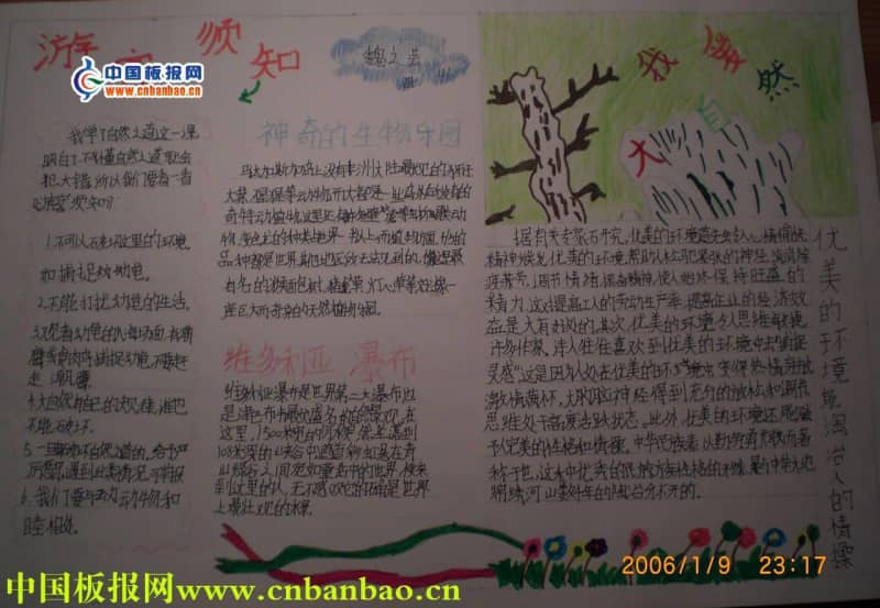 我爱大自然手抄报版面图 16张大自然手抄报