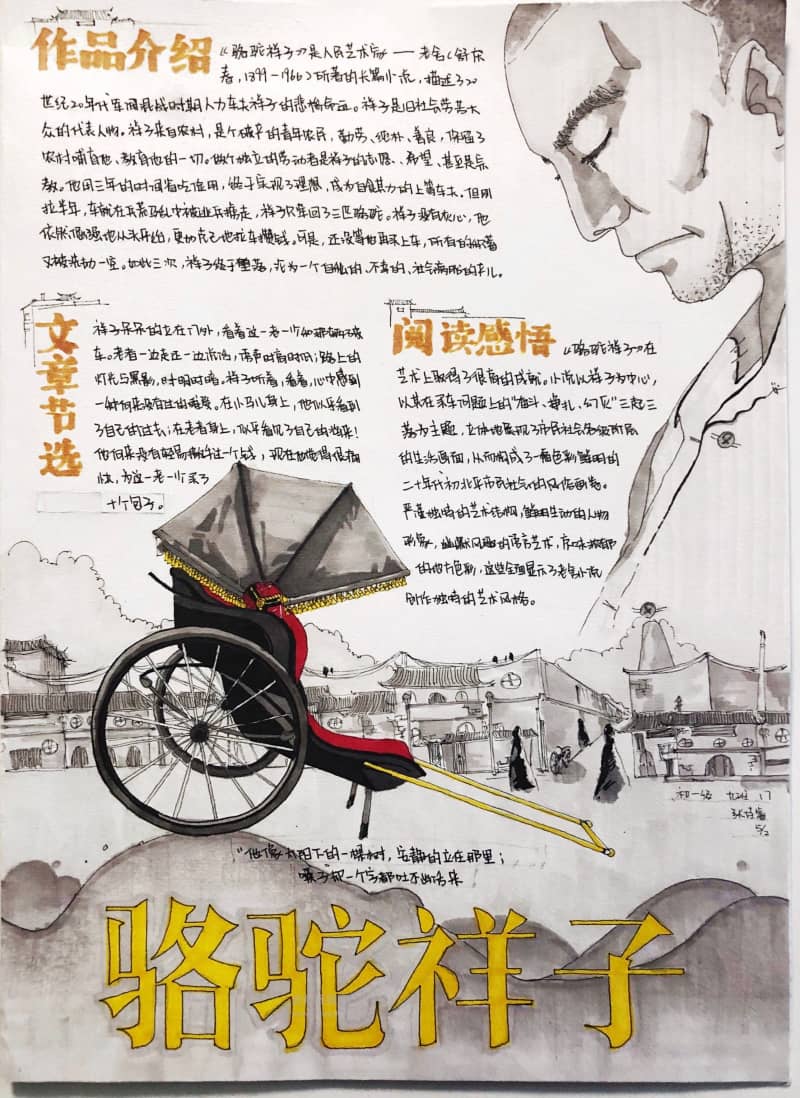 骆驼祥子手抄报图片 9张语文手抄报