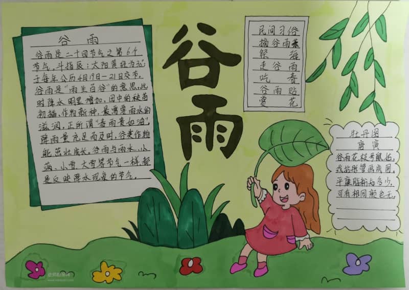 谷雨民间习俗手抄报图片 12张春天手抄报