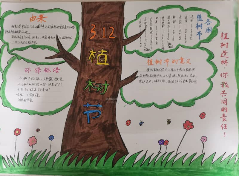 珍爱绿色 珍爱我们共同家园手抄报图片 16张植树节手抄报