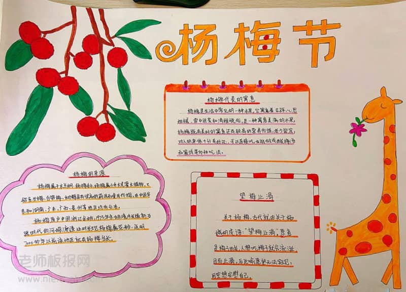 关于杨梅节手抄图片 杨梅的来源 16张物理手抄报