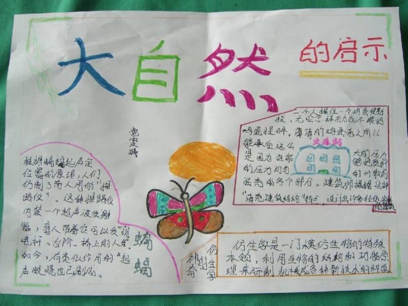 大自然的启示手抄报图片 16张大自然手抄报