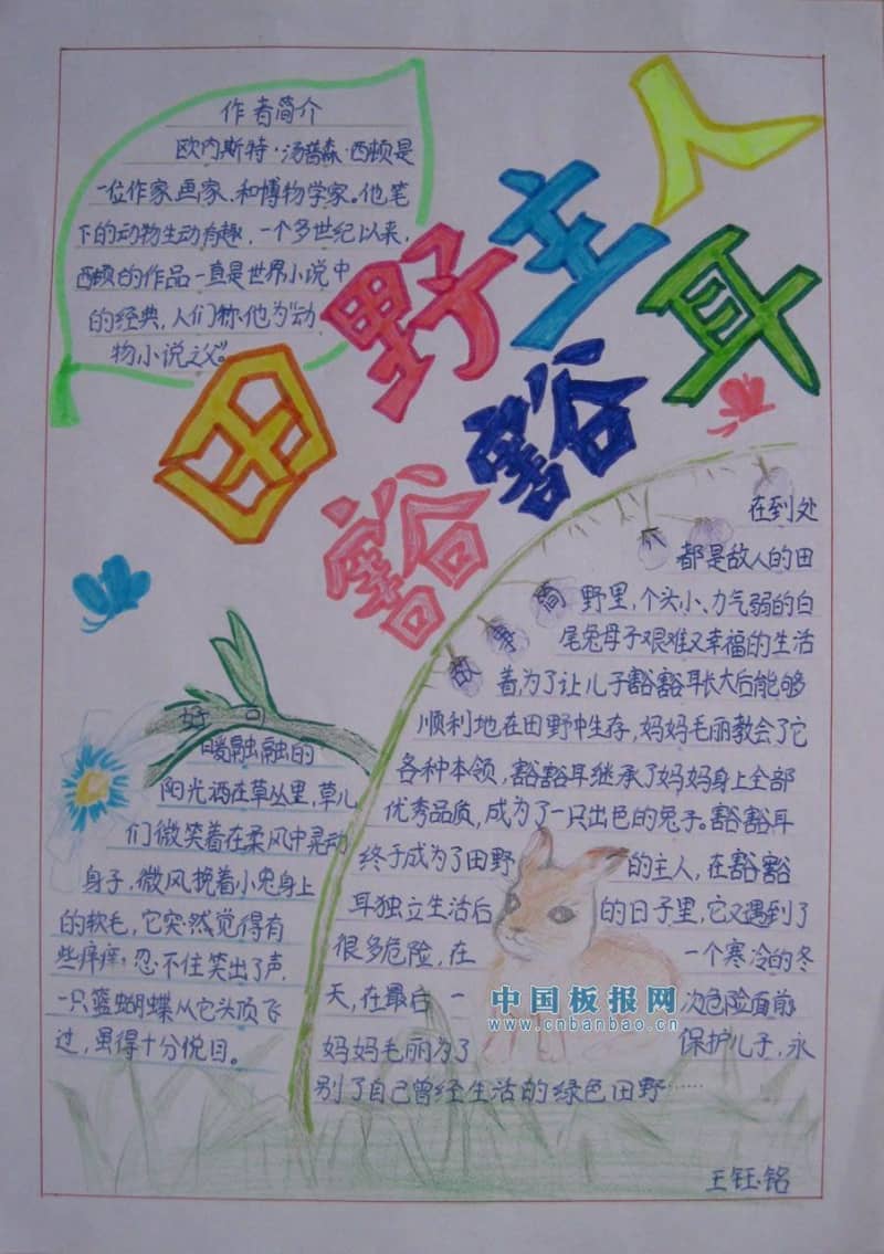 田野主人豁豁尔手抄报 14张读书手抄报