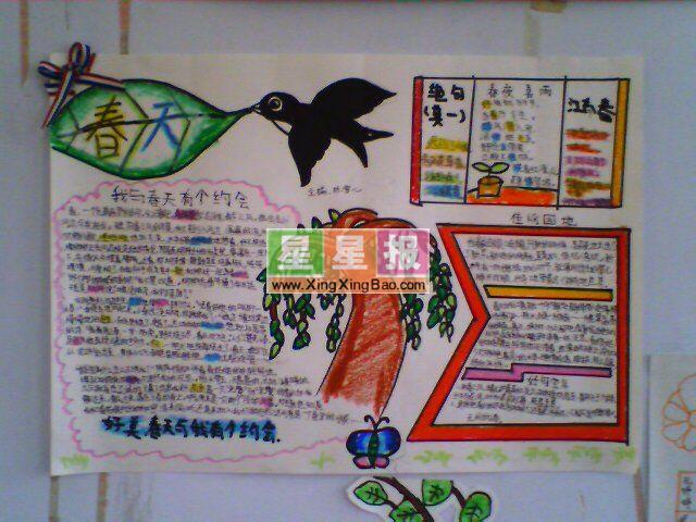 关于春天手抄报（小鸟插图） 13张小学生手抄报