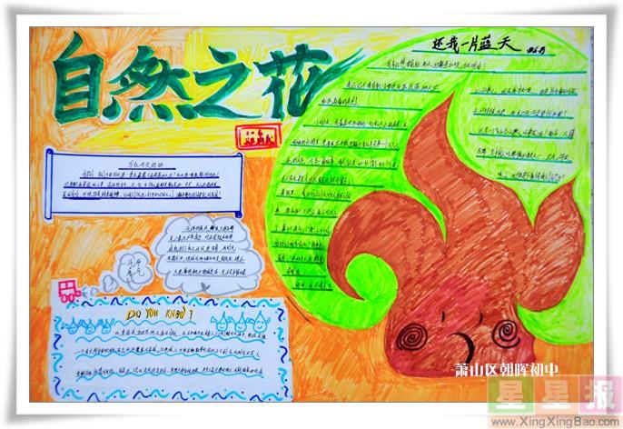 大自然手抄报图片——自然之花 9张大自然手抄报