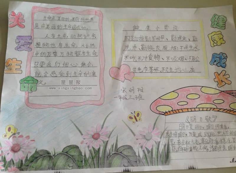 关爱生命健康成长手抄报内容 12张生命手抄报