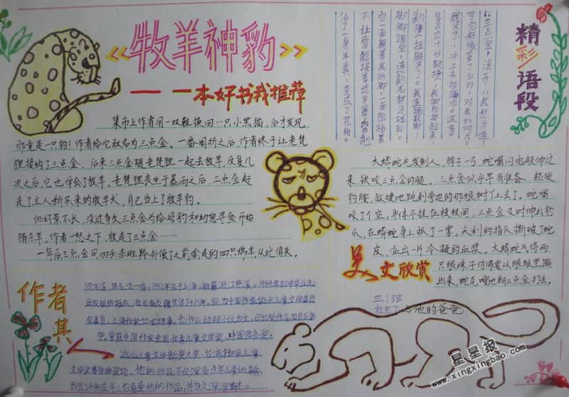 三年级牧羊神豹手抄报 16张小学生手抄报