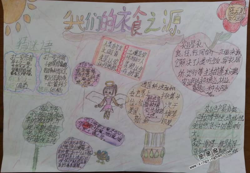 我们的衣食之源手抄报资料 12张小学生手抄报