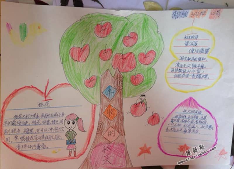 丰收的秋天手抄报内容 11张小学生手抄报