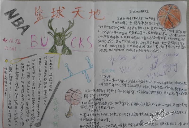 篮球天地手抄报图片 11张体育手抄报