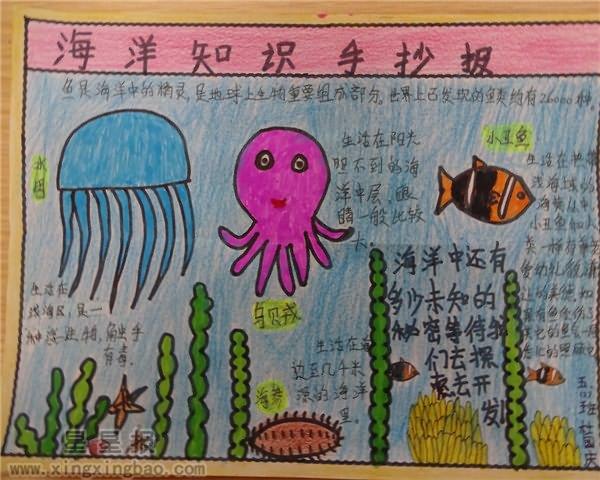 海洋知识手抄报内容 10张小学生手抄报