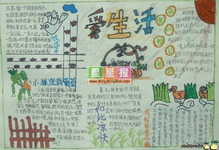 关于爱生活的手抄报 12张初中手抄报