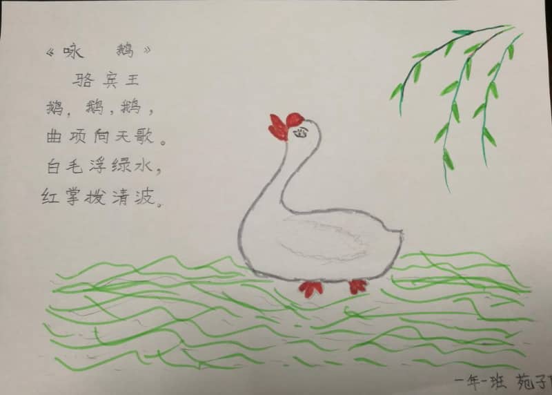 古诗咏鹅手抄报资料 9张古诗手抄报