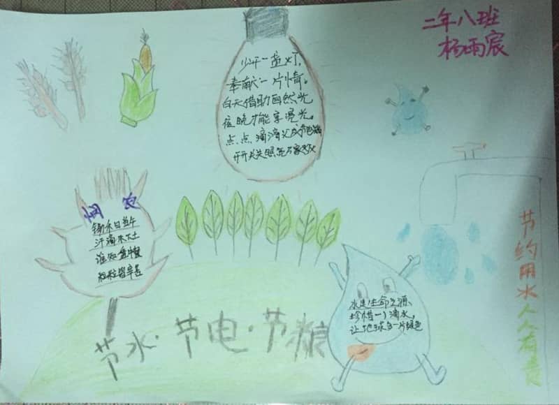 节水节电节粮手抄报内容 12张节约手抄报