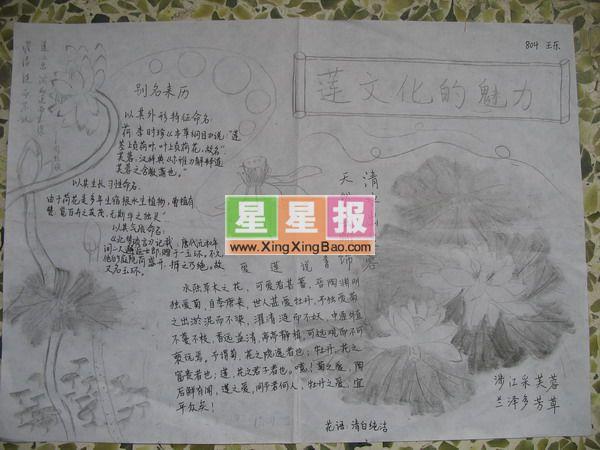 莲文化的魅力手抄报 9张文化手抄报