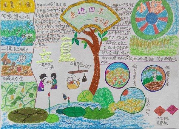 关于夏天的手抄报图片，立夏 16张夏天手抄报