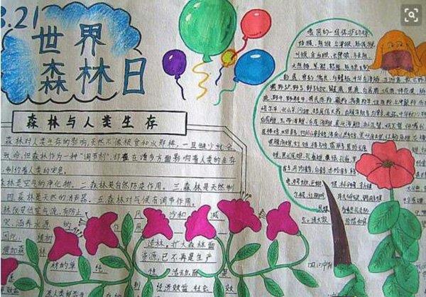 321世界森林日手抄报图片，森林与人类生存 13张世界森林日手抄报