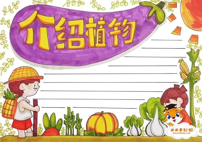介绍植物手抄报简单画法，介绍植物手抄报图片大全 9张植物手抄报