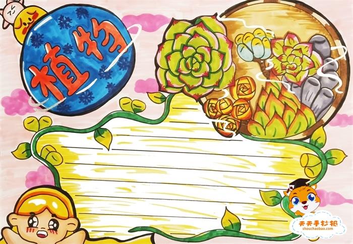 3年级植物手抄报第一名画法，植物手抄报第一名怎么画 15张植物手抄报