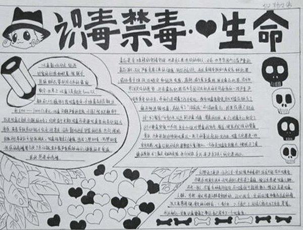 禁毒手抄报，识毒禁毒热爱生命 12张禁毒手抄报