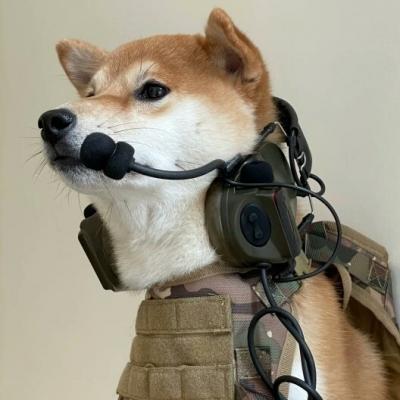 狗狗帅气头像图片大全 狗狗帅气的图片头像 20张