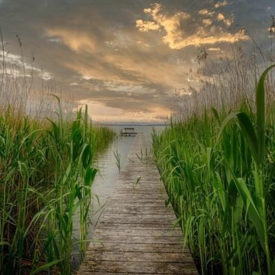 风景照片头像 风景照片头像图片大全 20张