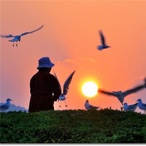 老年人头像微信 老年人的微信头像图片大全 20张