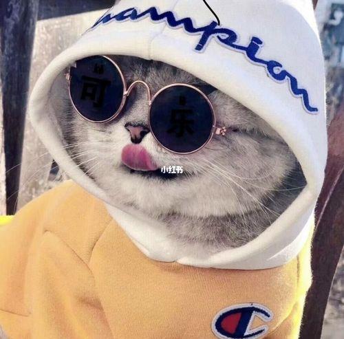 大佬头像图片大全 帅气大佬头像 20张