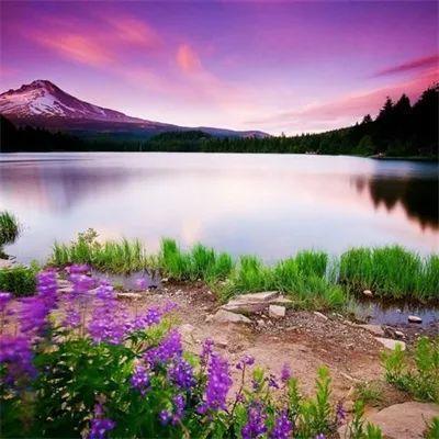 2022好运微信头像风景 带来好运的微信头像风景图片2022最新款 20张