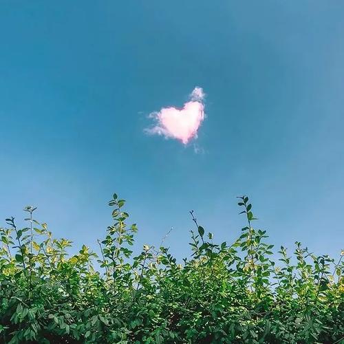 适合永久做头像的头像图片个性 适合永久做头像的头像图片大全 20张