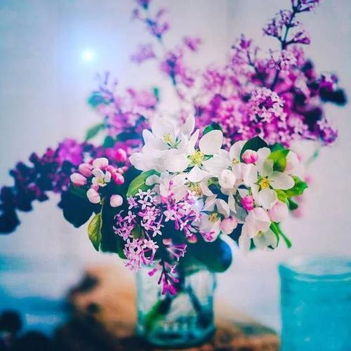 中年女头像微信 中年女头像微信图片大全 20张