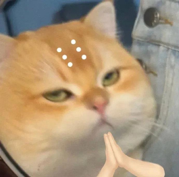 沙雕情头|趣味搞笑情头图片大全2023新款 8张