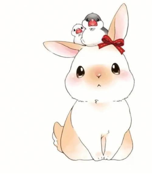 兔子头像图片2023新款 兔子头像图片2023新款图片可爱 20张