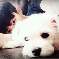 男生和狗的头像 男生和狗的头像图片可爱 20张