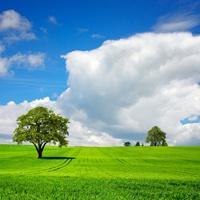 风景的头像图片 风景的图片做头像 20张