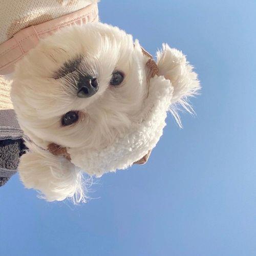 治愈系头像图片唯美 温柔治愈系头像图片大全 20张