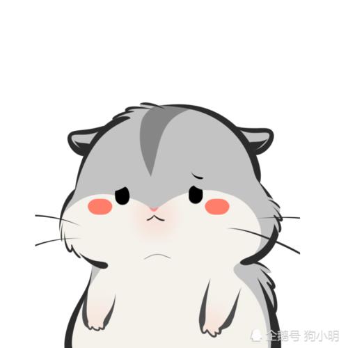头像仓鼠图片大全可爱 头像仓鼠图片卡通 20张