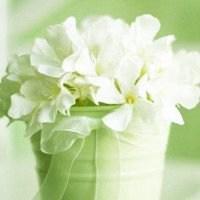 微信头像唯美 张姓微信头像唯美图片 20张