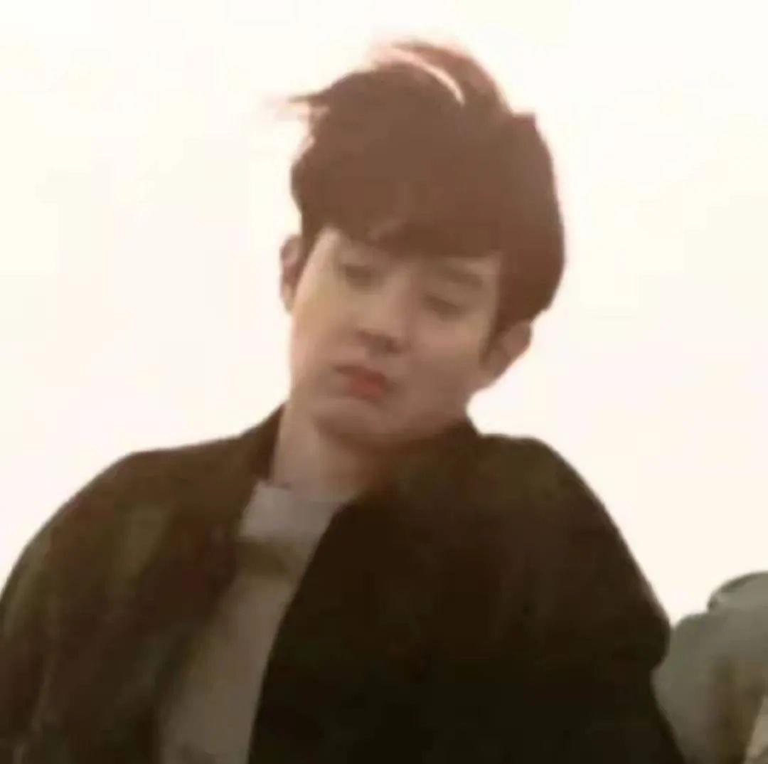 那年我们猫狗超甜情头|崔雄国延秀沙雕情头图片大全 8张