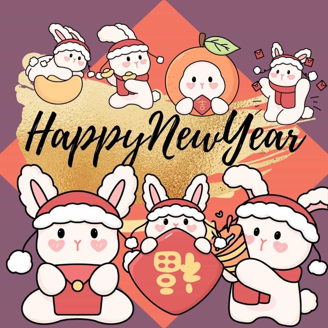 2023可爱的兔子背景图片祝大家兔年新年快乐 10张