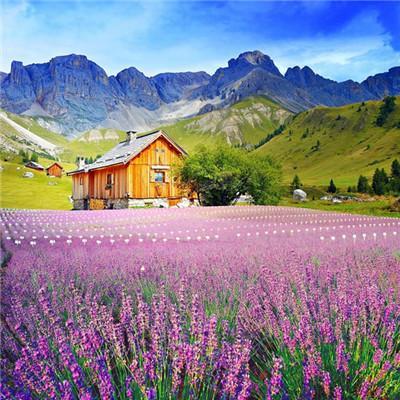 好运微信头像2022年最新版图片 微信好运头像图片2022最新款 20张